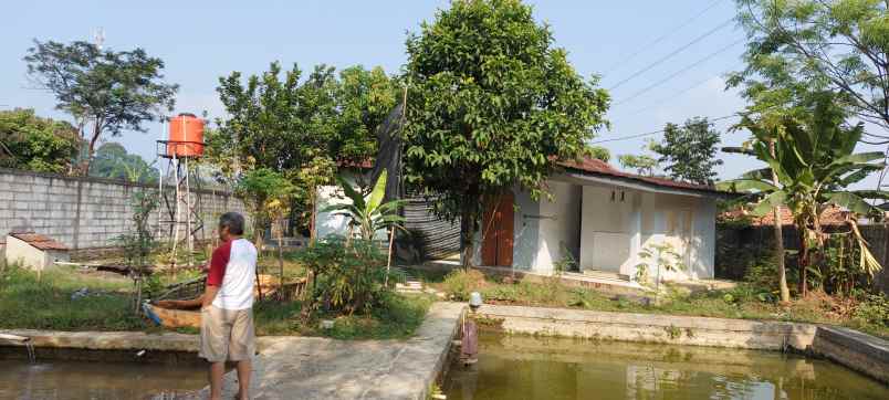 rumah kebun buah harga termurah bogor