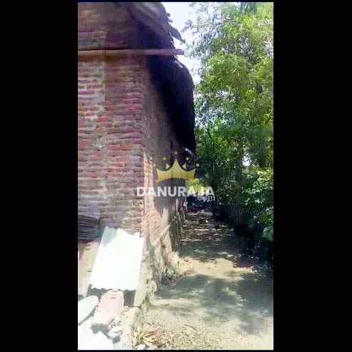 rumah kediri kabupaten 224m plosoklaten