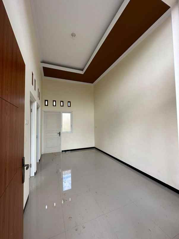 rumah minimalis berdesign eropa