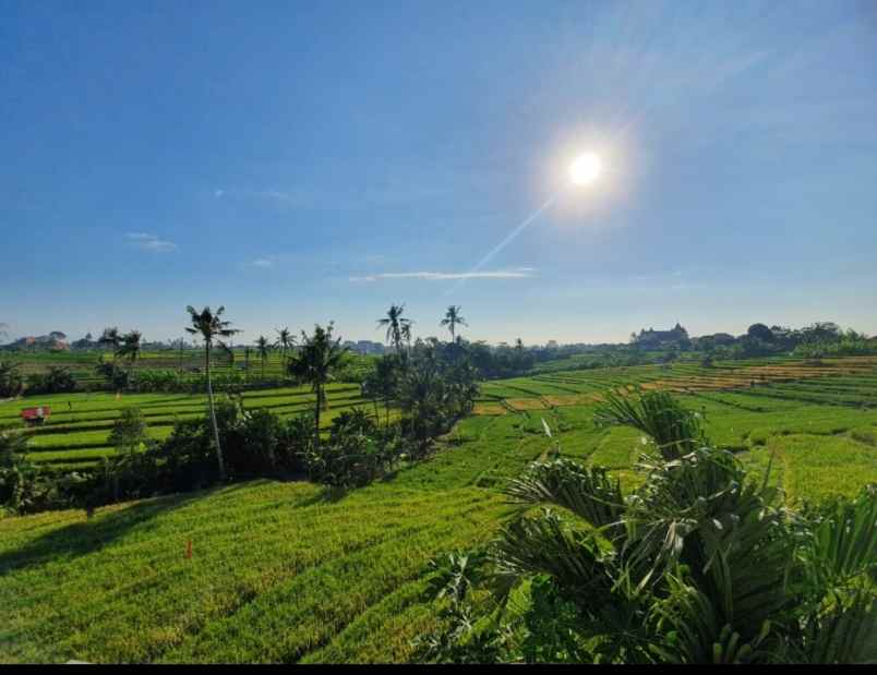 rumah view sawah di pegending dalung dekat canggu bali