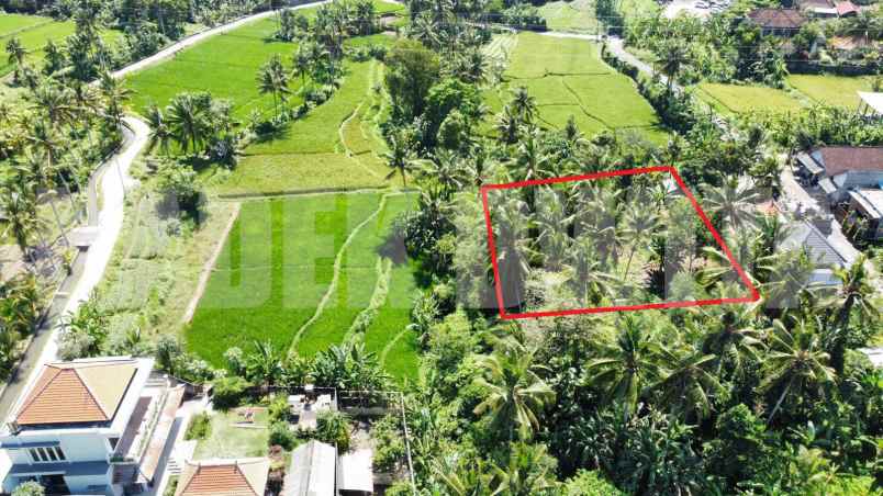 sewa tanah view sawah sungai ubud