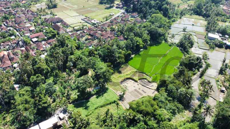 sewa tanah view sungai dan loss sungai silakarang ubud