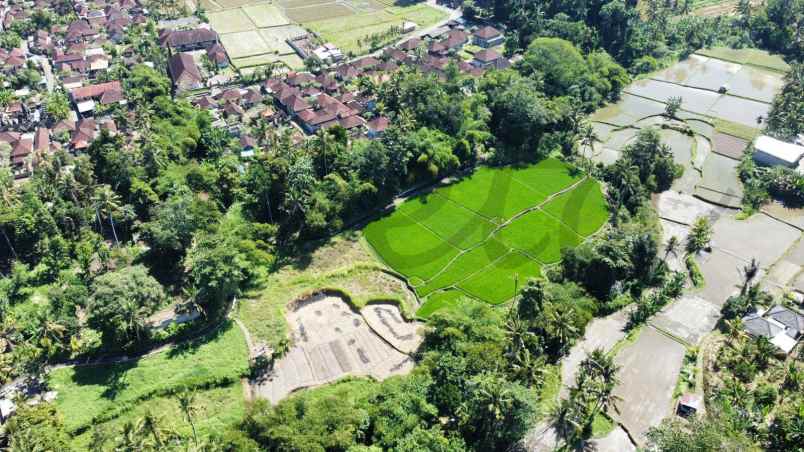 sewa tanah view sungai dan loss sungai silakarang ubud