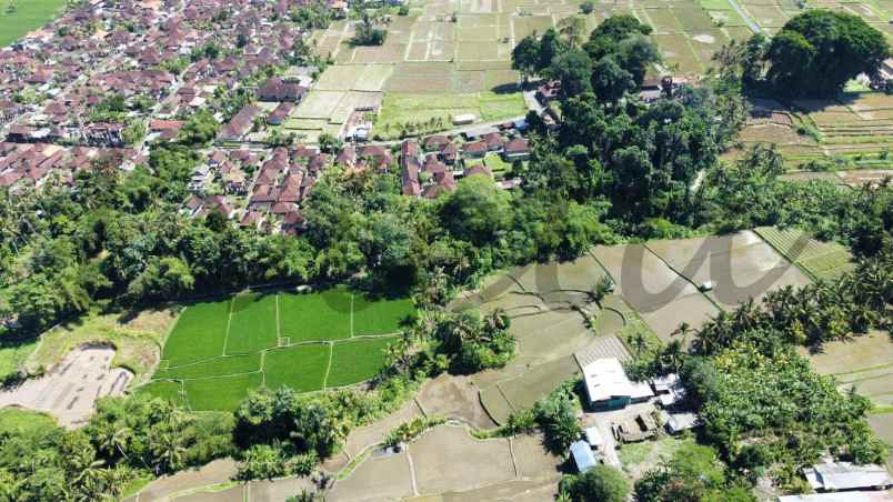 sewa tanah view sungai dan loss sungai silakarang ubud