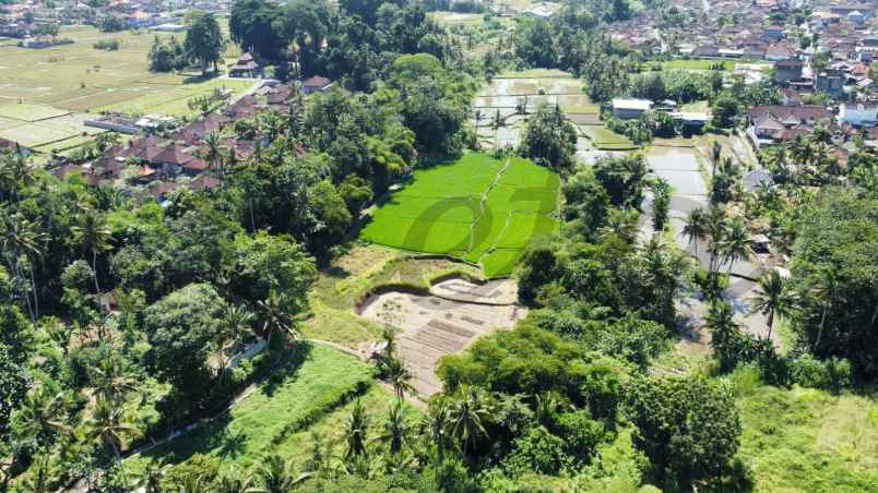 sewa tanah view sungai dan loss sungai silakarang ubud