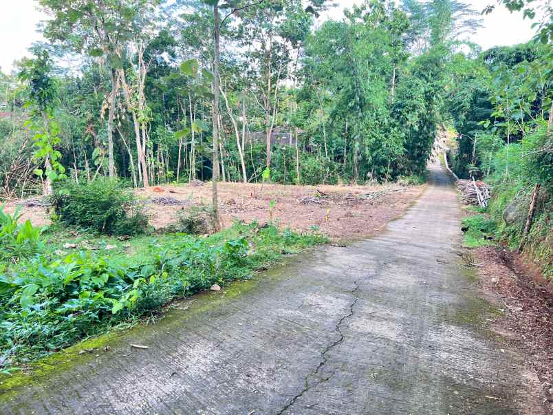 tanah 1368m cocok untuk kebun buah karanganyar