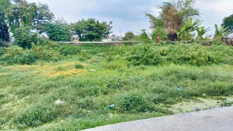 tanah cileunyi cinunuk dekat kampus kota bandung 500m