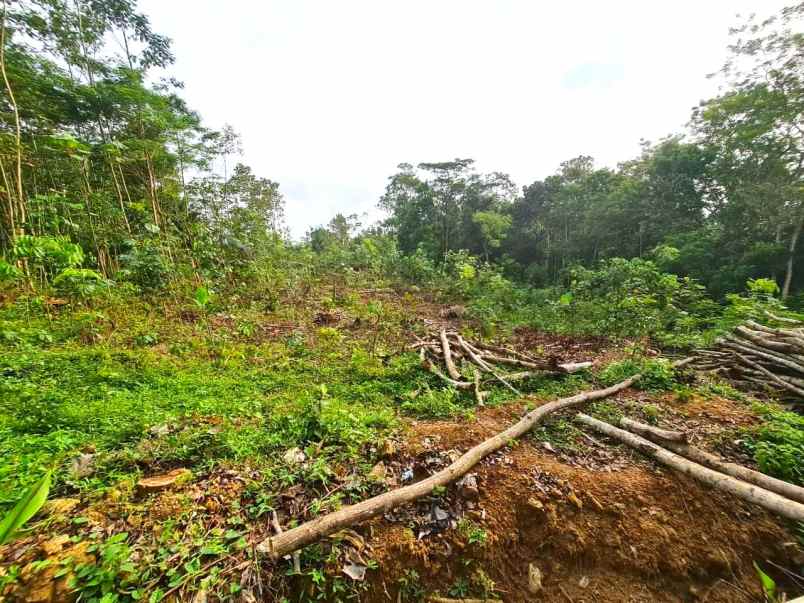 tanah cocok untuk gudang matesih karanganyar