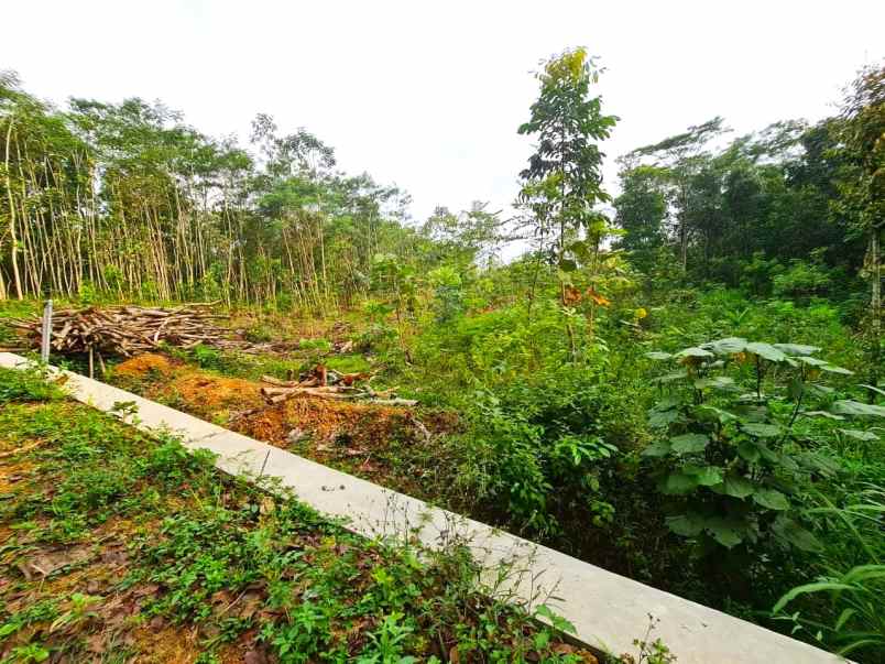 tanah cocok untuk gudang matesih karanganyar