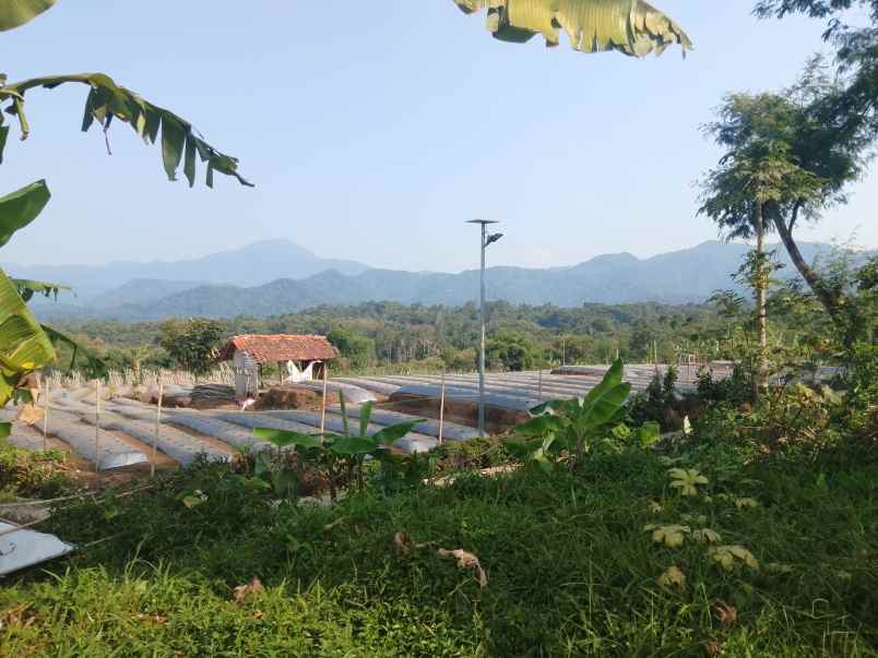tanah daerah kompleks vila ciater subang jawa barat