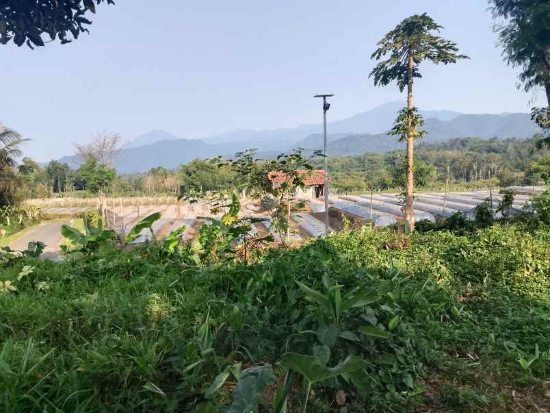 tanah daerah kompleks vila ciater subang jawa barat