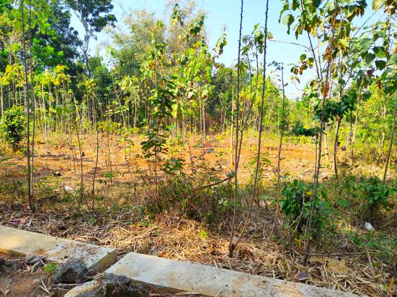 tanah datar siap bangun 5350m2 karanganyar