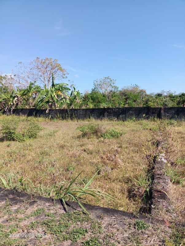 tanah di balangan bali hanya 900 meter dari pantai