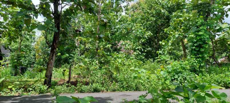 tanah dijual pinggir jalan lebar