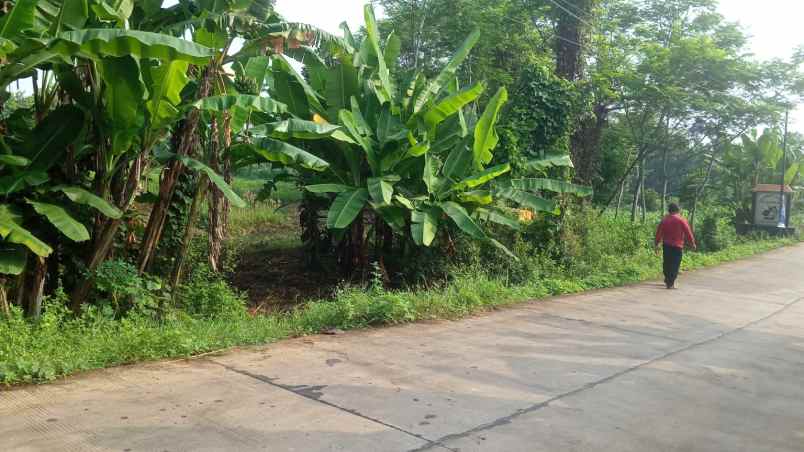 tanah industri dekat jalan pantura batang