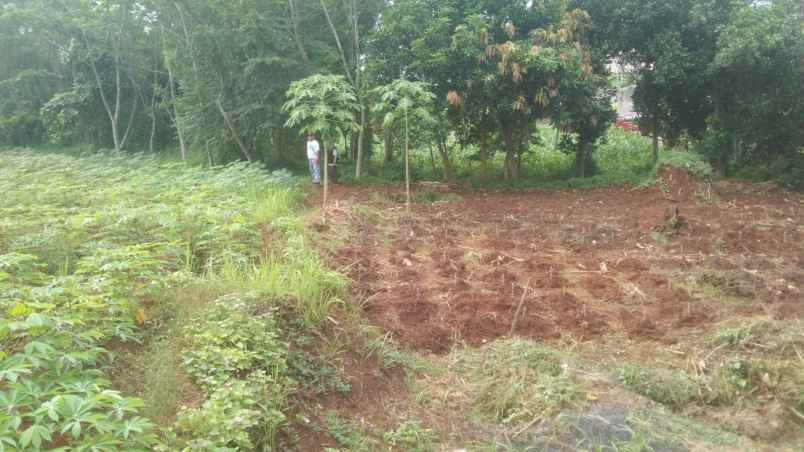 tanah industri dekat jalan pantura batang