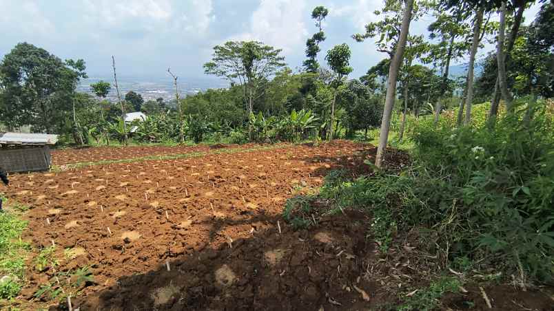 tanah istimewa pasir nanjung cimanggung kab sumedang
