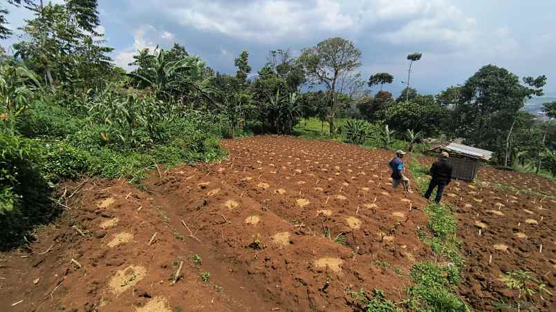 tanah istimewa pasir nanjung sumedang