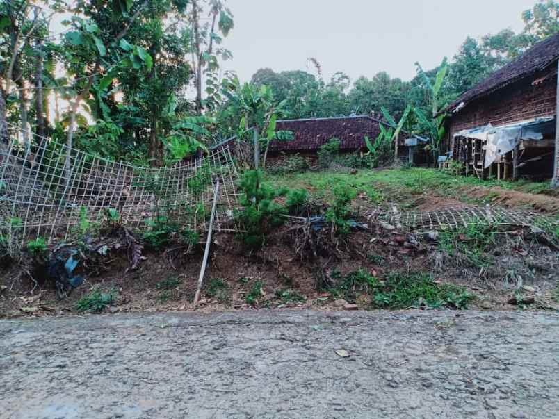 tanah karangpandan karanganyar