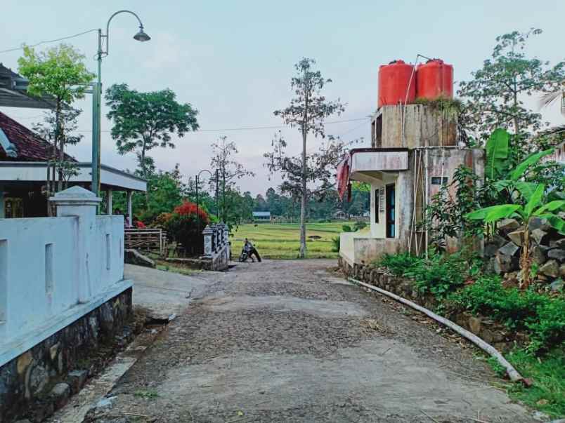 tanah karangpandan karanganyar