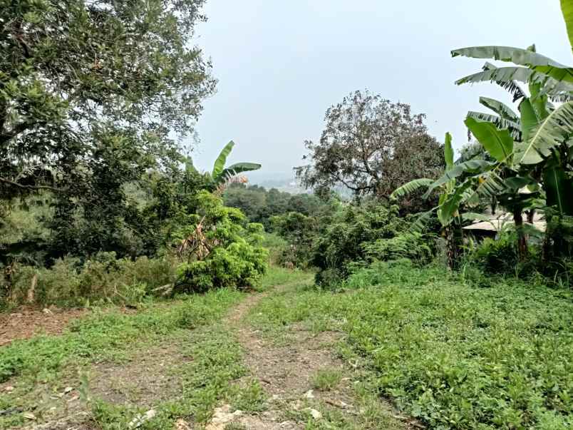 tanah kebun di cijayanti sentul city bogor