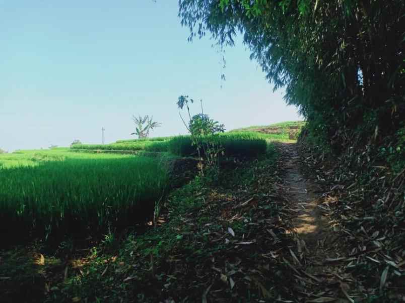 tanah kerjo karanganyar