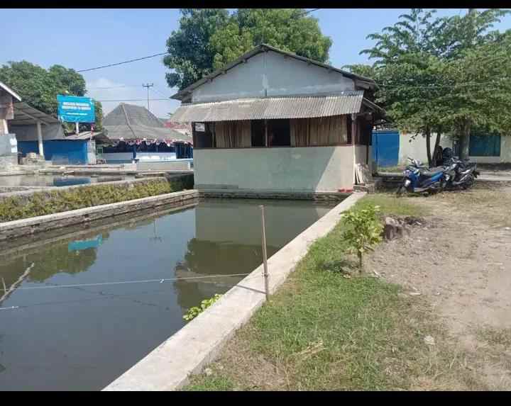 tanah komersial dan kolam ikan aktiv