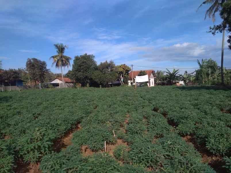 tanah kp sawah kencana kelurahan