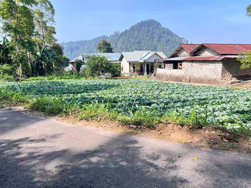 tanah murah 350 juta siap bangun villa karanganyar