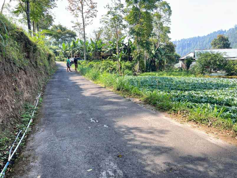 tanah murah 350 juta siap bangun villa karanganyar