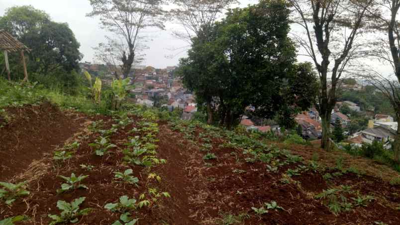 tanah murah kodya bandung jl pasir impun harga nego