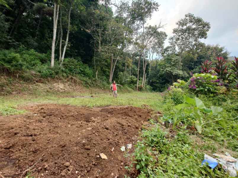 tanah murah luas strategis di sumberejo kota batu