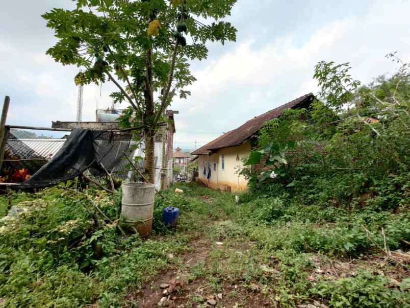 tanah murah luas strategis di sumberejo kota batu