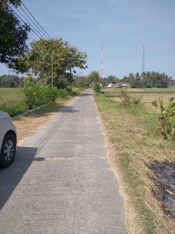 tanah murah shm 1 2 juta per meter di srandakan bantul