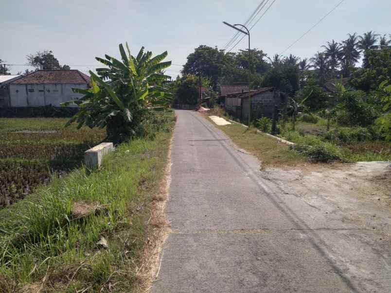 tanah murah shm 1 2 juta per meter di srandakan bantul