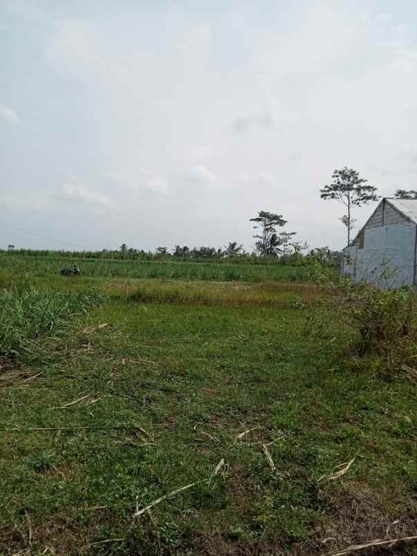 tanah murah siap bangun