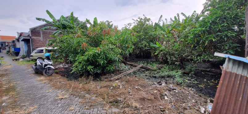 tanah murah siap bangun kloposepuluh sukodono sidoarjo