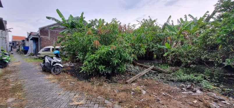 tanah murah siap bangun kloposepuluh sukodono sidoarjo