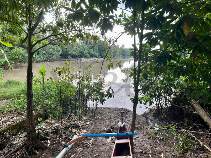 tanah pantai pasut los sungai tibubiyu tabanan