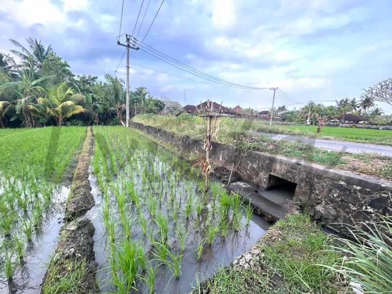 tanah pantai pasut los sungai tibubiyu tabanan