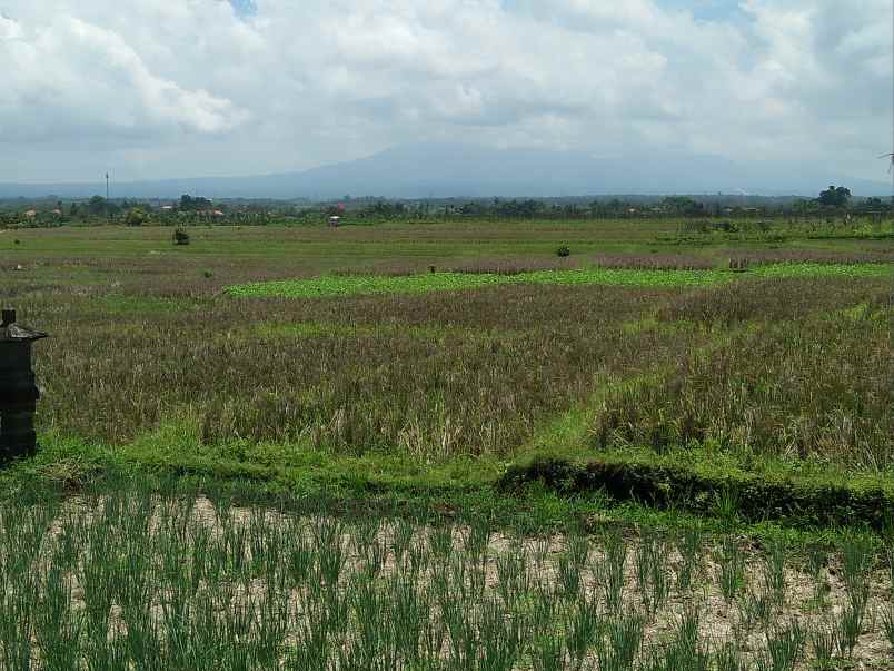 tanah pantai pasut tibubiyu