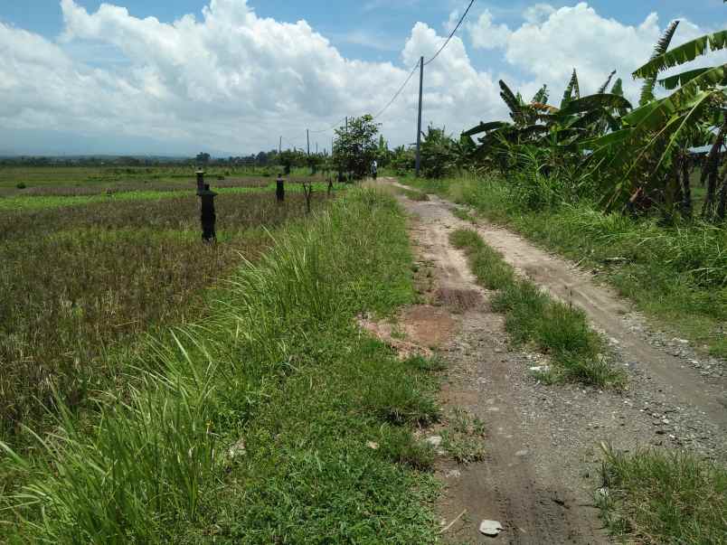 tanah pantai pasut tibubiyu