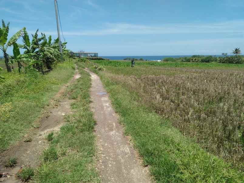 tanah pantai pasut tibubiyu