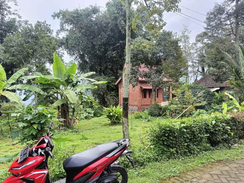 tanah pekarangan desa penganggungan trawas