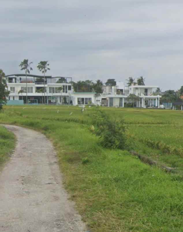 tanah sawah zona hijau di canggu babakan bali