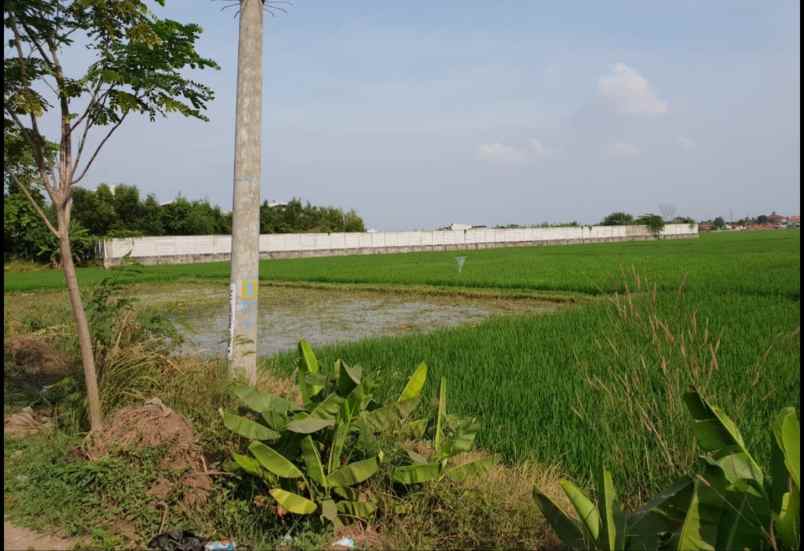 tanah strategis di jl raya tanjung pura karawang barat