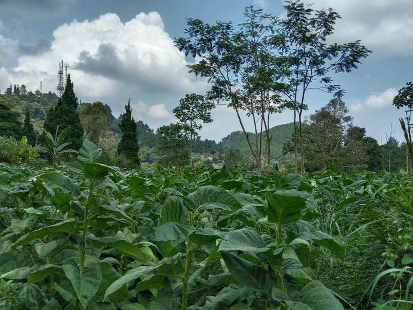 tanah strategis zona wisata ciater subang jawa barat