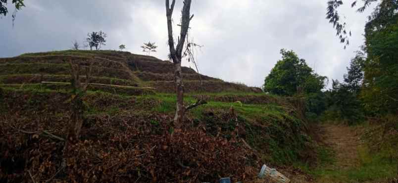 tanah subur luas murah super strategis di kota batu