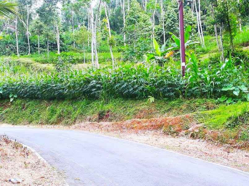 tanah tepi jl kerjo sambirejo kerjo karanganyar