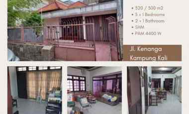 Aset Langka Tengah Kota Brumbungan Semarang